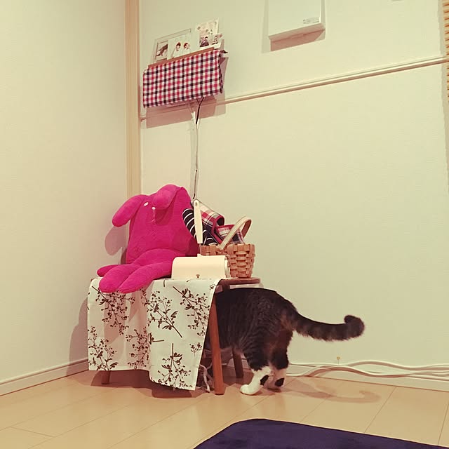 takami0501さんの実例写真