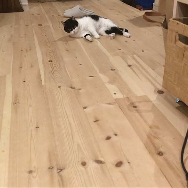 megu123さんの実例写真