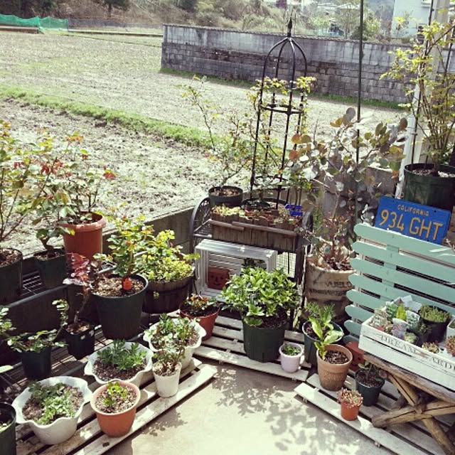 kinuさんの実例写真