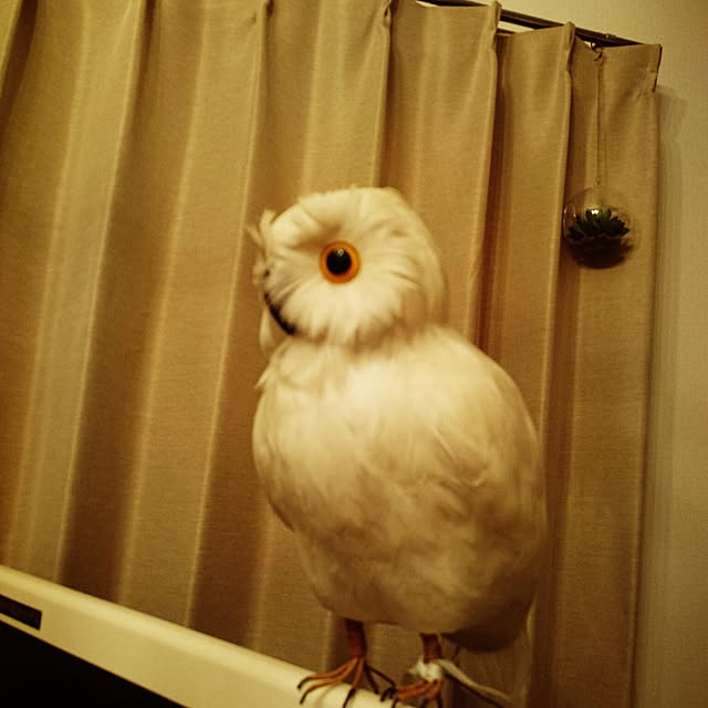 san777さんの実例写真