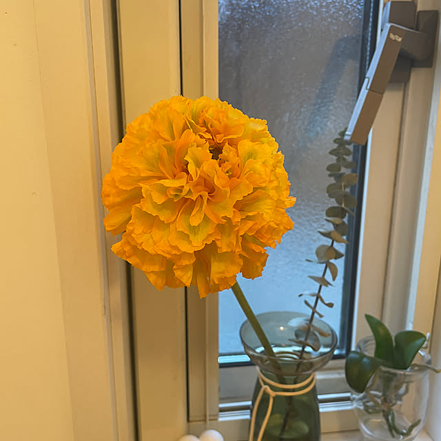 nattunさんの部屋