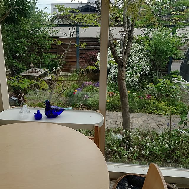 asmaさんの部屋