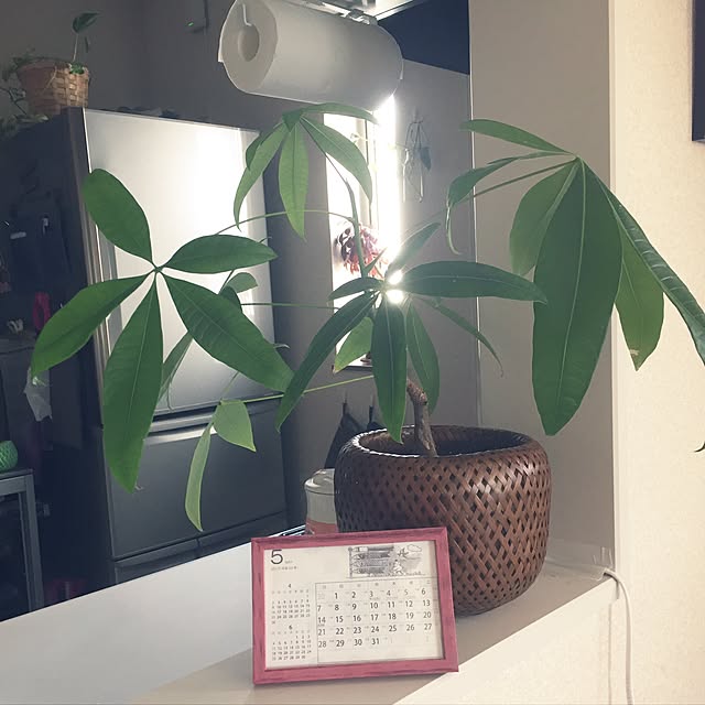 kirinさんの実例写真