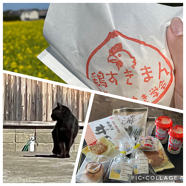 aureaさんの実例写真
