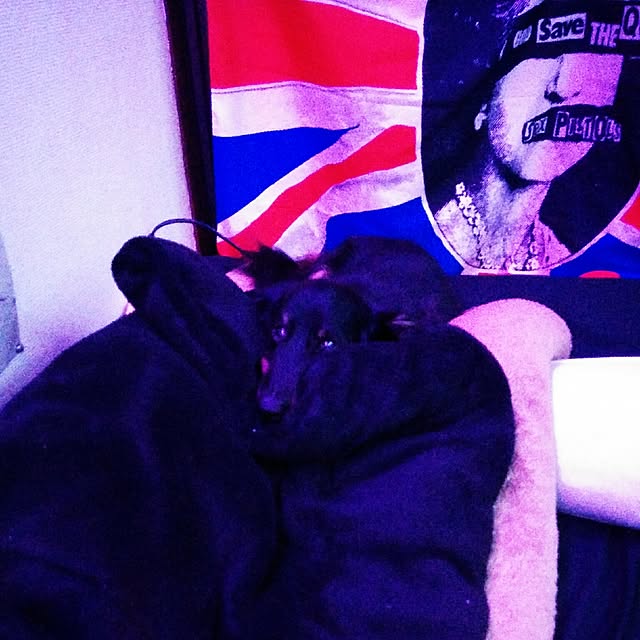 xxxpunk696さんの実例写真