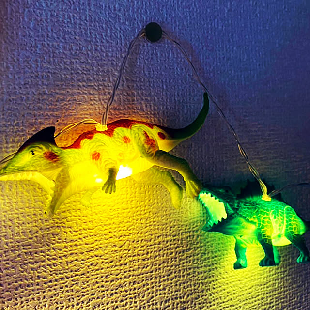 Robaさんの実例写真