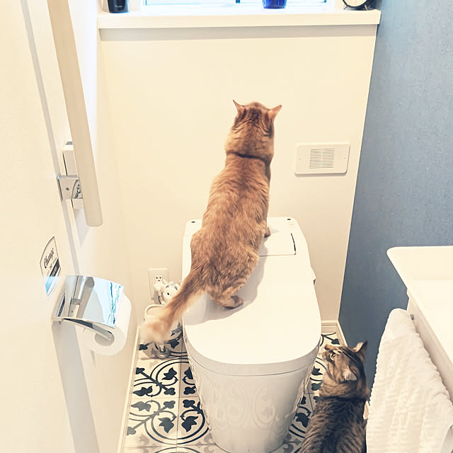 nyanpeiさんの実例写真