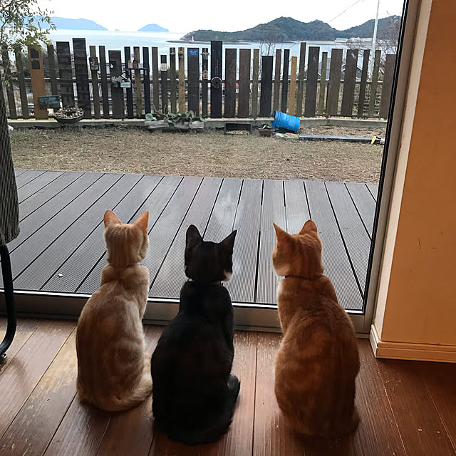 COLeCoさんの実例写真