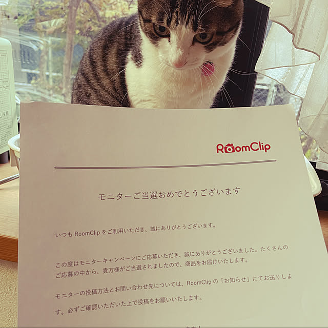 guuguu77さんの実例写真