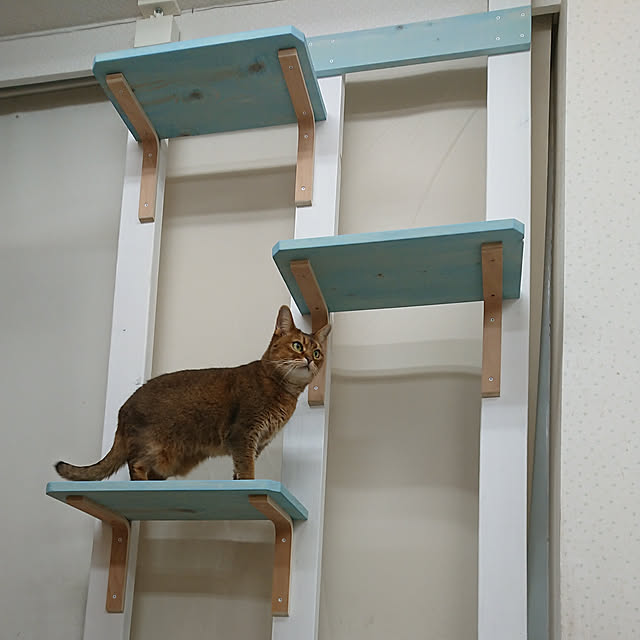 taka-kiさんの実例写真