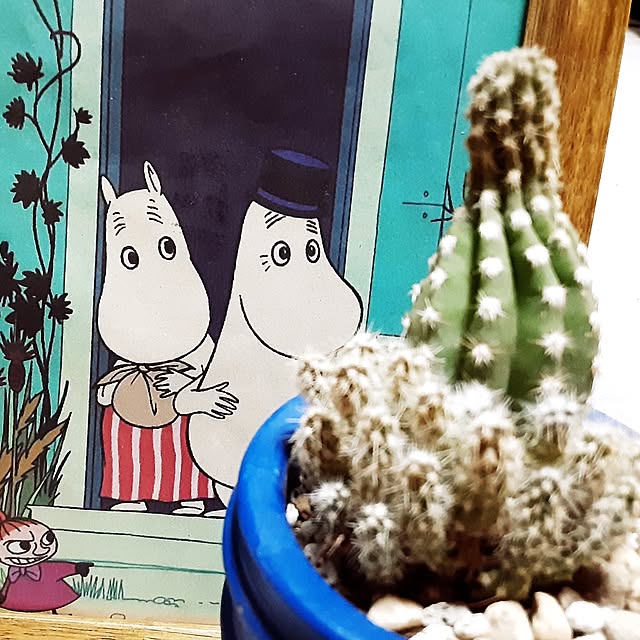 katさんの実例写真