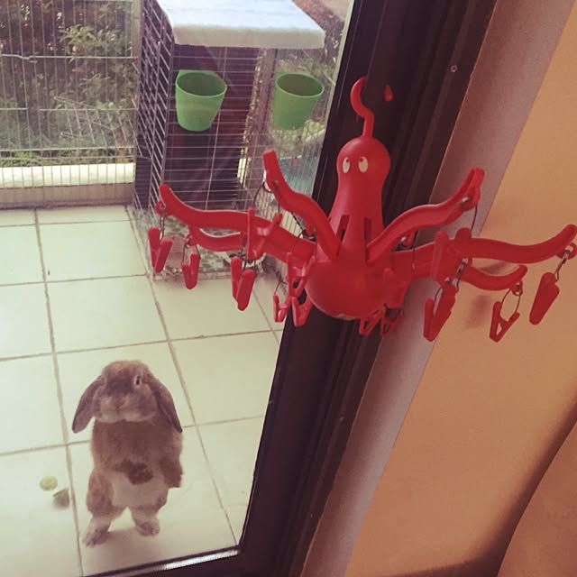 MARIさんの実例写真