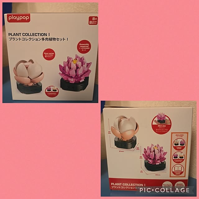 nao814さんの実例写真