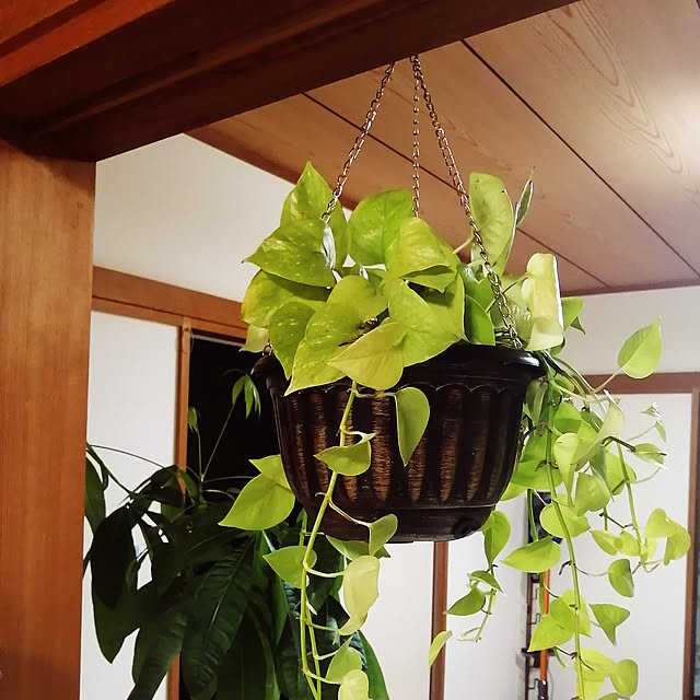 harutai5558さんの実例写真
