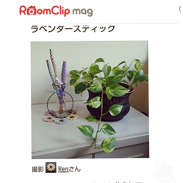 Renさんの実例写真