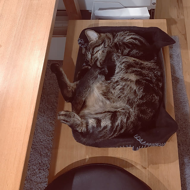 hihaさんの実例写真