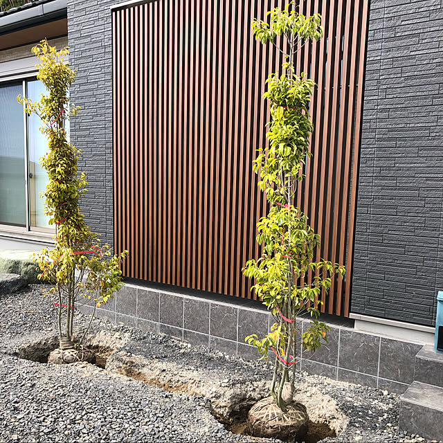 Kazu_locosさんの実例写真
