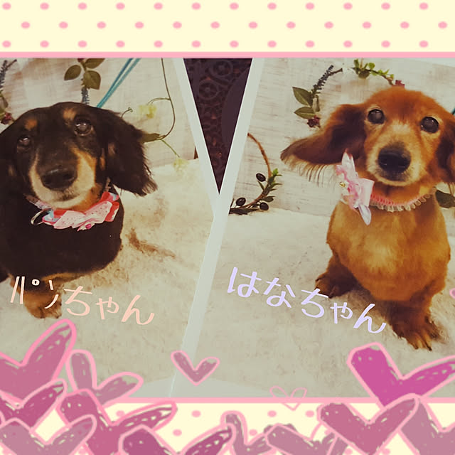 hanapanさんの実例写真