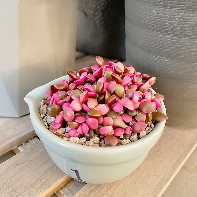 meiさんの部屋