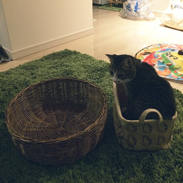 ayapiiiiceさんの実例写真