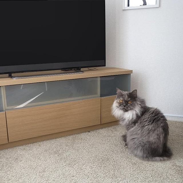 hiroshiさんの実例写真