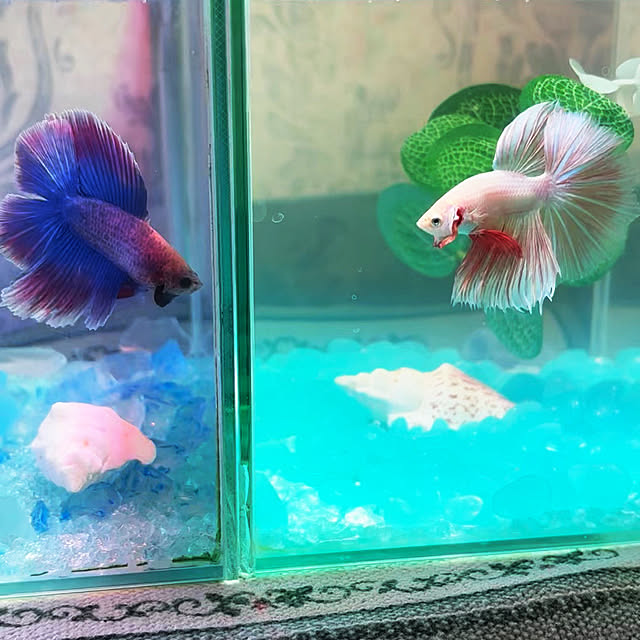 leonさんの部屋