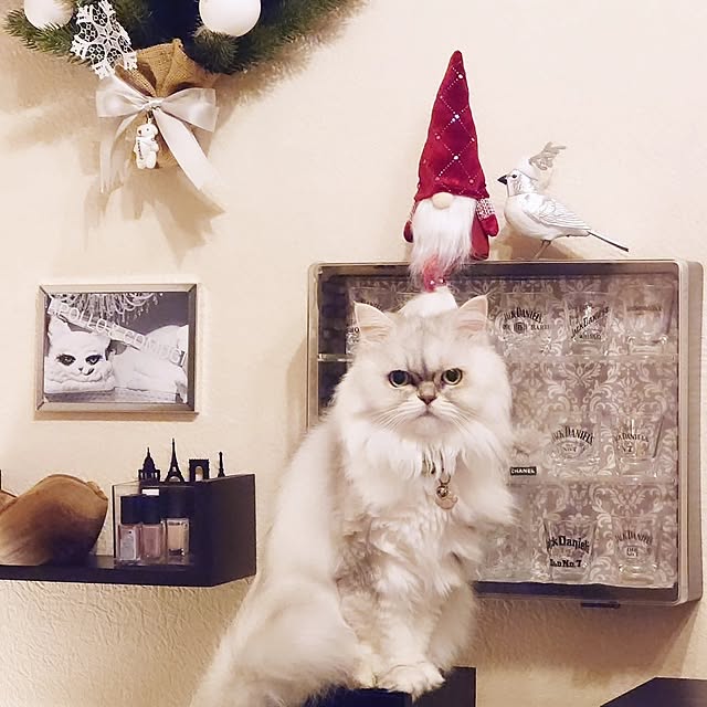 kumikkeyさんの部屋