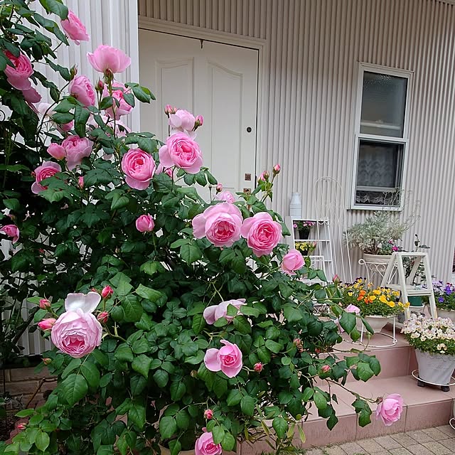 fleur-mamanさんの部屋