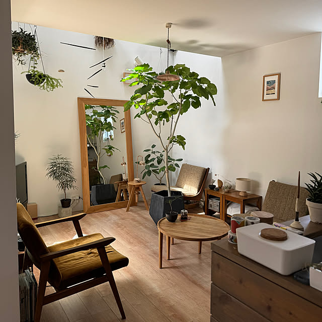 部屋全体/観葉植物/大きな鏡のインテリア実例 - 2024-06-11 22:01:08