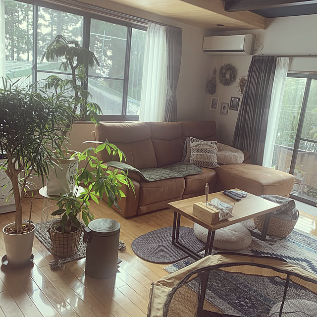 カウチソファー♡*°/癒し♡/わんこと暮らす家/植物のある暮らし/いいね♪いつもありがとうございます❤️...などのインテリア実例 - 2022-12-02 09:12:19