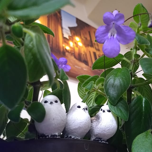 NOAHさんの部屋