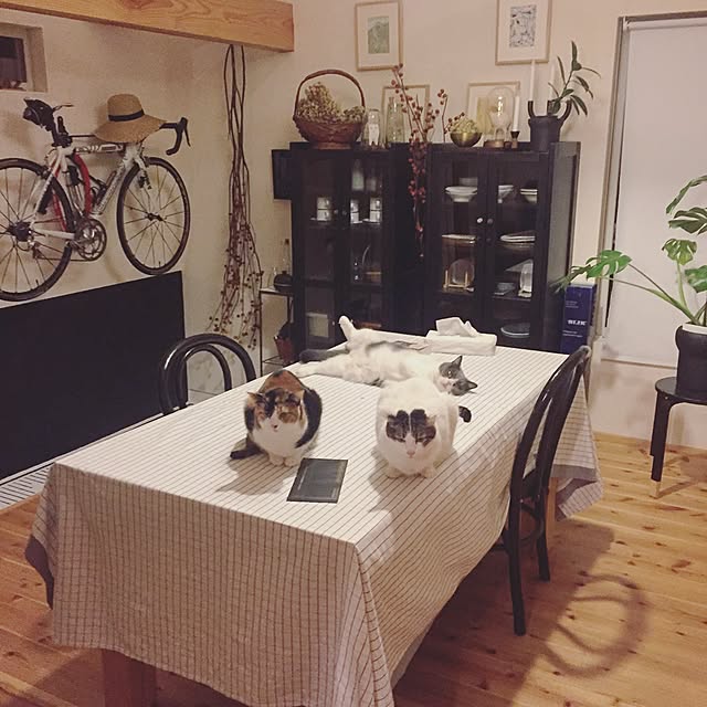 mohayaeteさんの実例写真