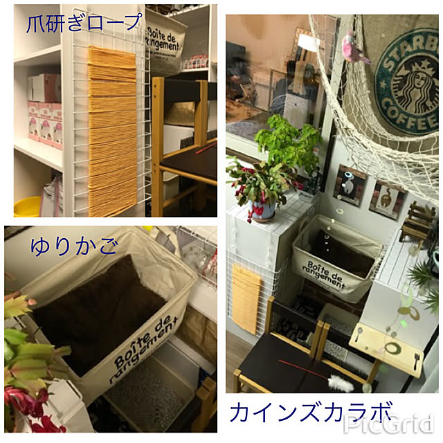 m.kantoh18_mikkoさんの実例写真