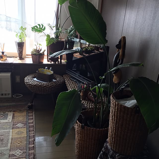 akoyanさんの実例写真