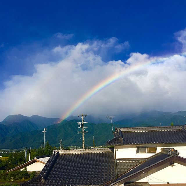 実例写真