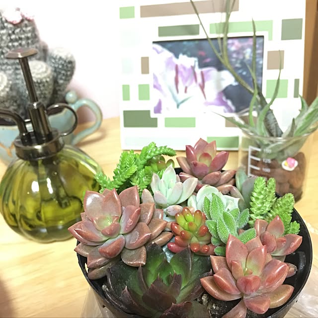 yurilily_tさんの実例写真