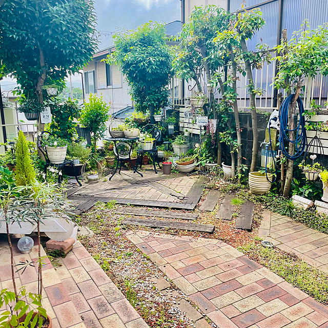 burgundy.roseさんの部屋