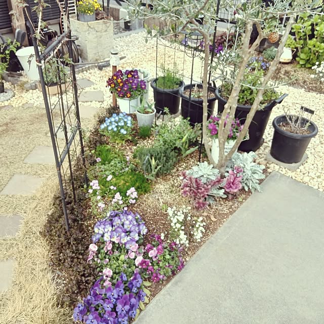 kaanaさんの部屋