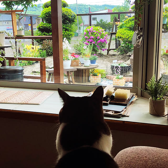 tsさんの実例写真