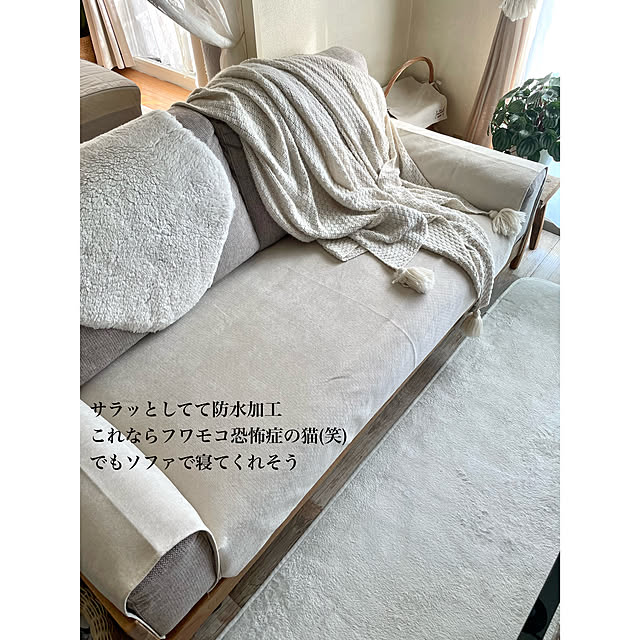 airararaさんの部屋