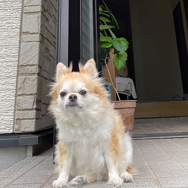 natsumiさんの部屋