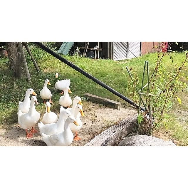 Retさんの実例写真
