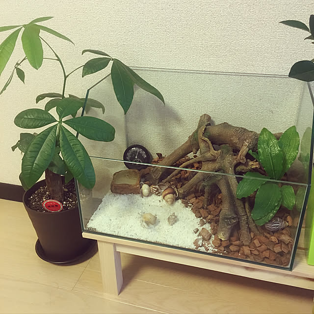 sunaさんの実例写真