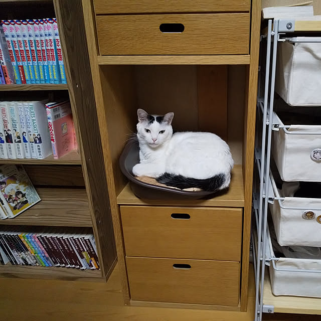 yukieさんの実例写真