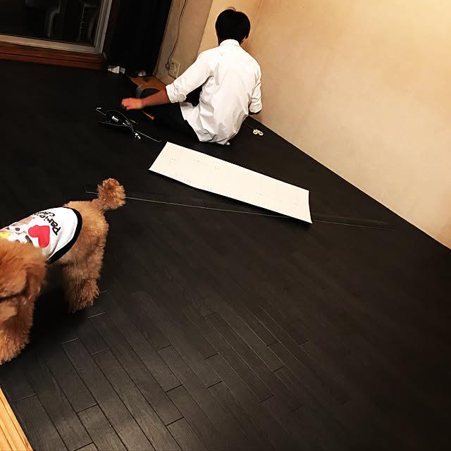 2-24さんの実例写真