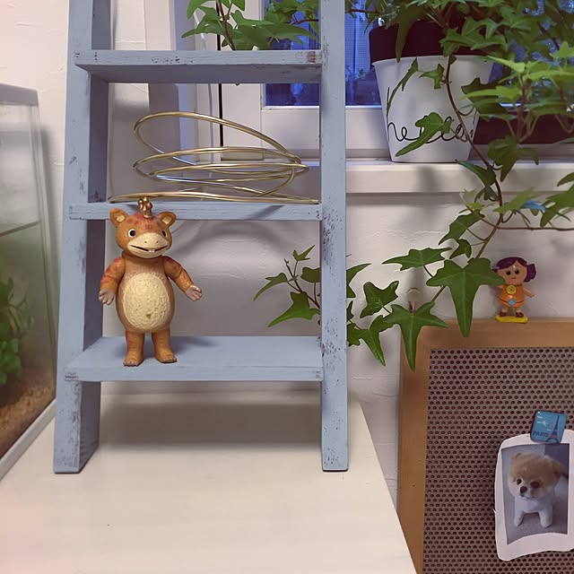 pariさんの実例写真