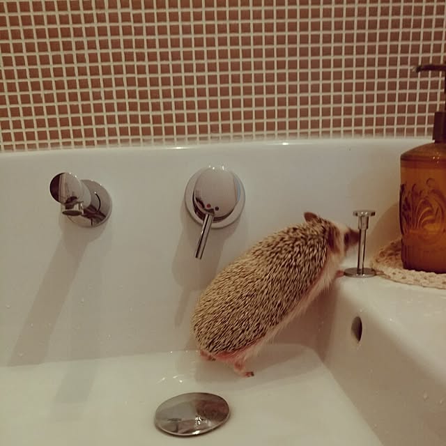 kuruさんの実例写真
