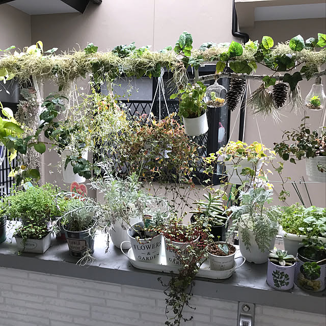 earlさんの部屋