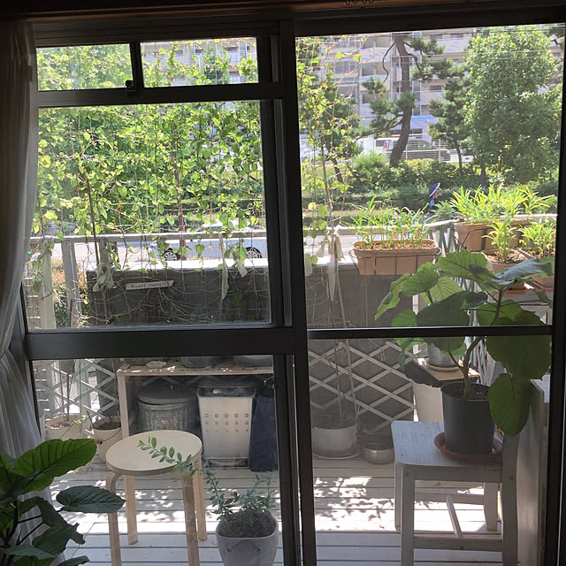 mintmamaさんの実例写真