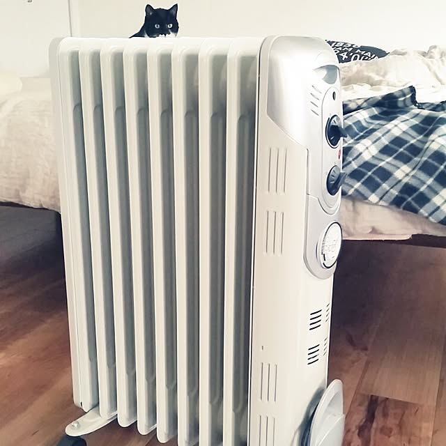 nekogurumaさんの実例写真